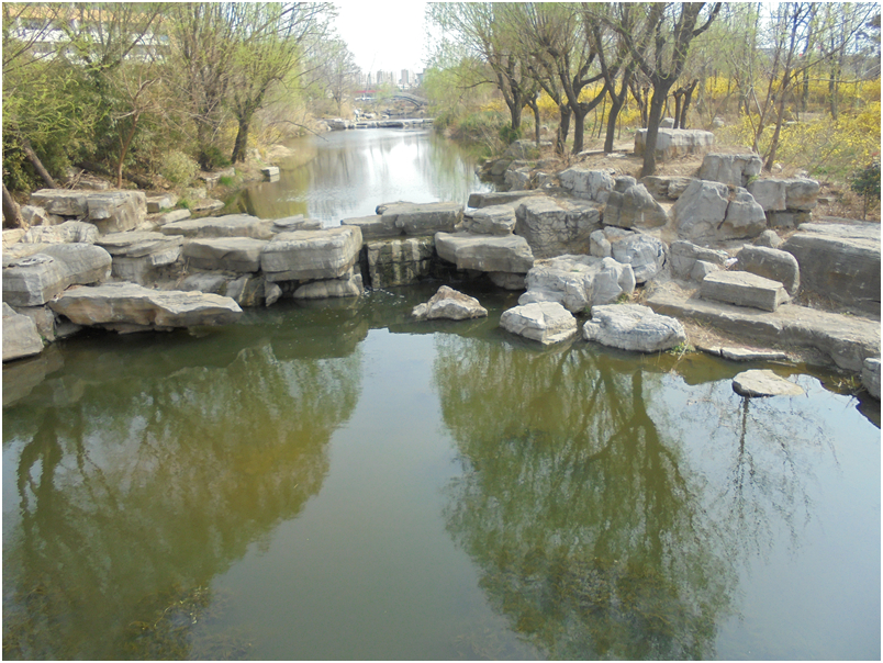 1547453131750259.png 2.png