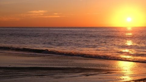 山东印发通知 优化环评审批服务助推重大项目建设